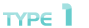 �^�C�v�P